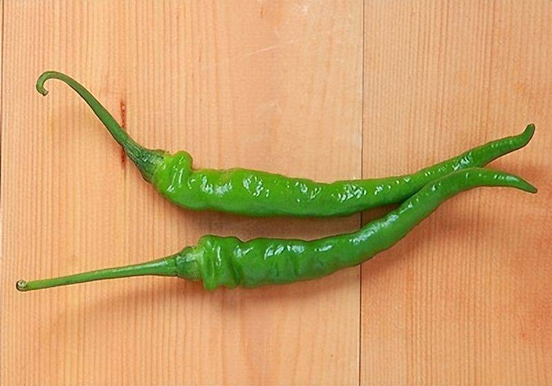 Indian pepper cultivation technology