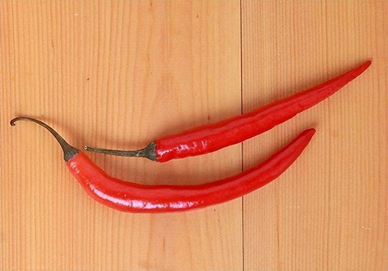 Indian pepper cultivation technology