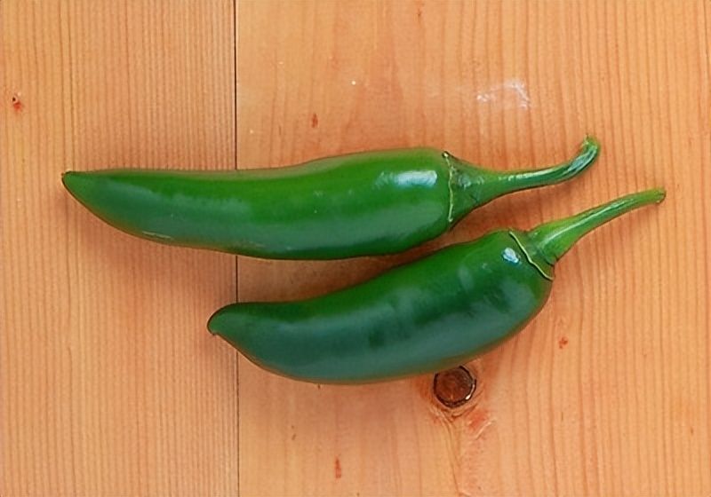 Indian pepper cultivation technology