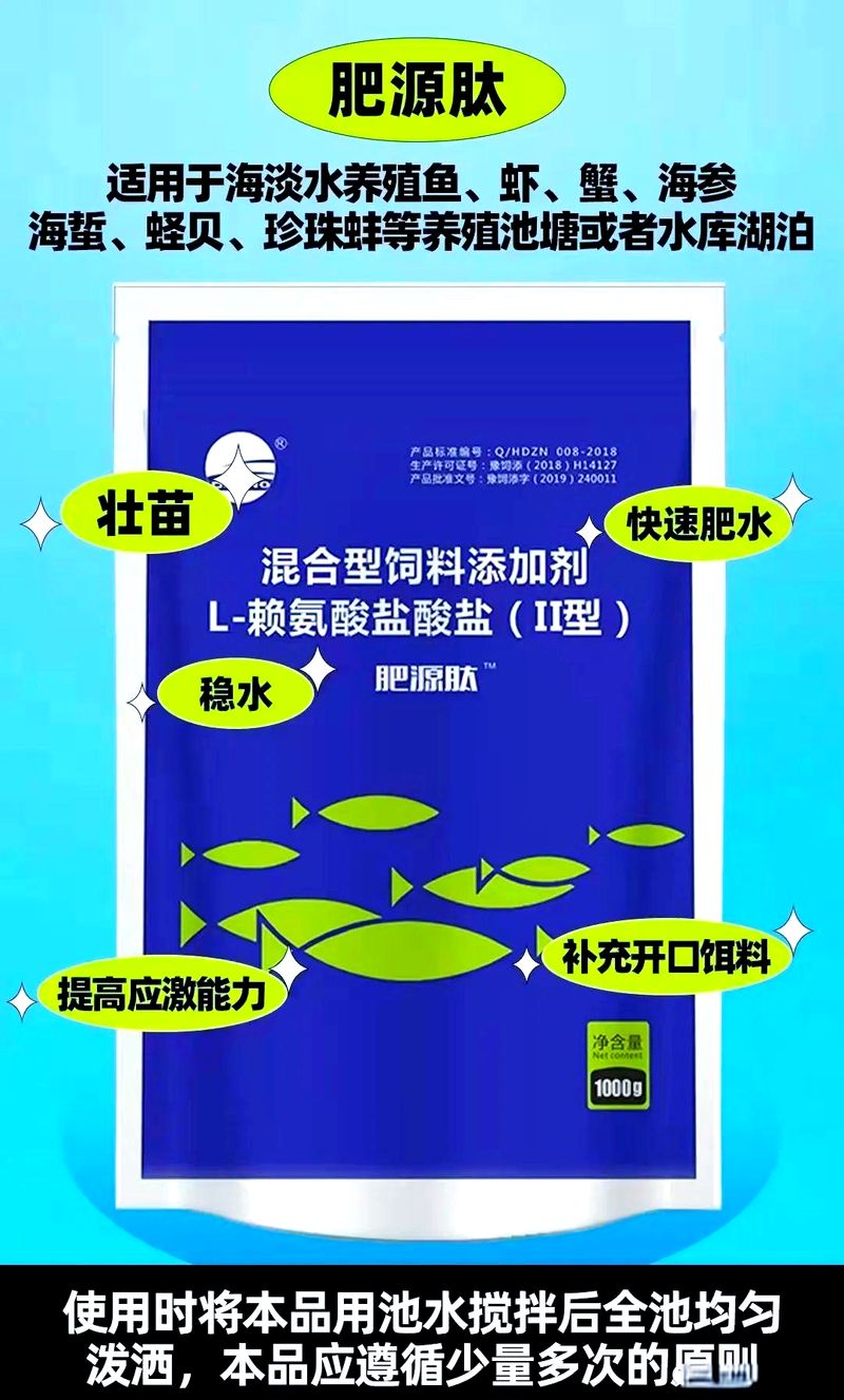 鱼塘养殖经验