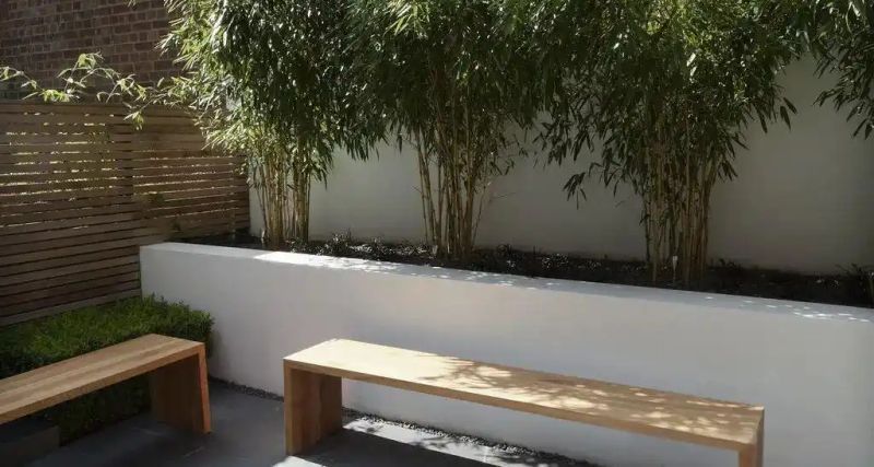 屋顶 绿化构造
