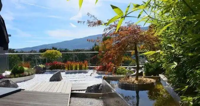屋顶 绿化构造