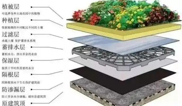 屋顶 绿化构造