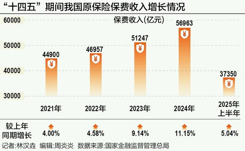知识产权保险