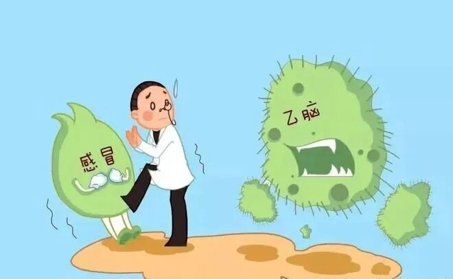 乙脑灭活疫苗多少钱