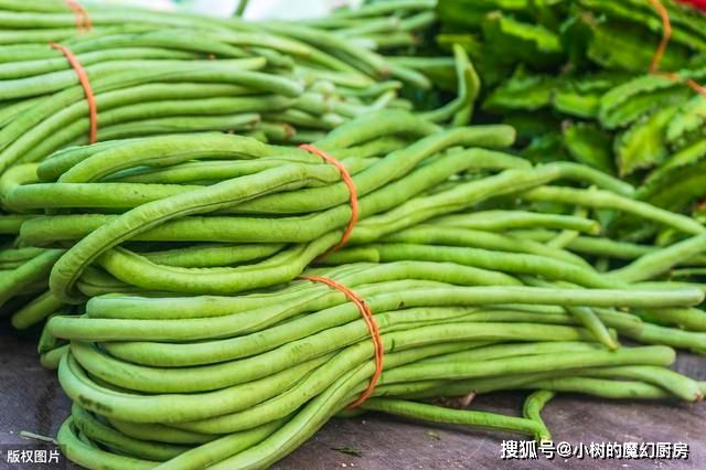 四季豆种植方法