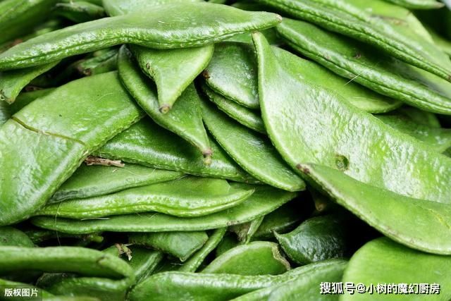 四季豆种植方法