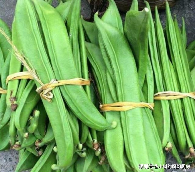 四季豆种植方法