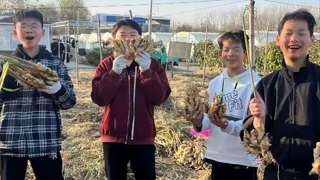 生姜种植技术大全