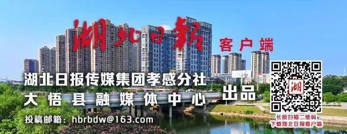 生姜种植技术大全