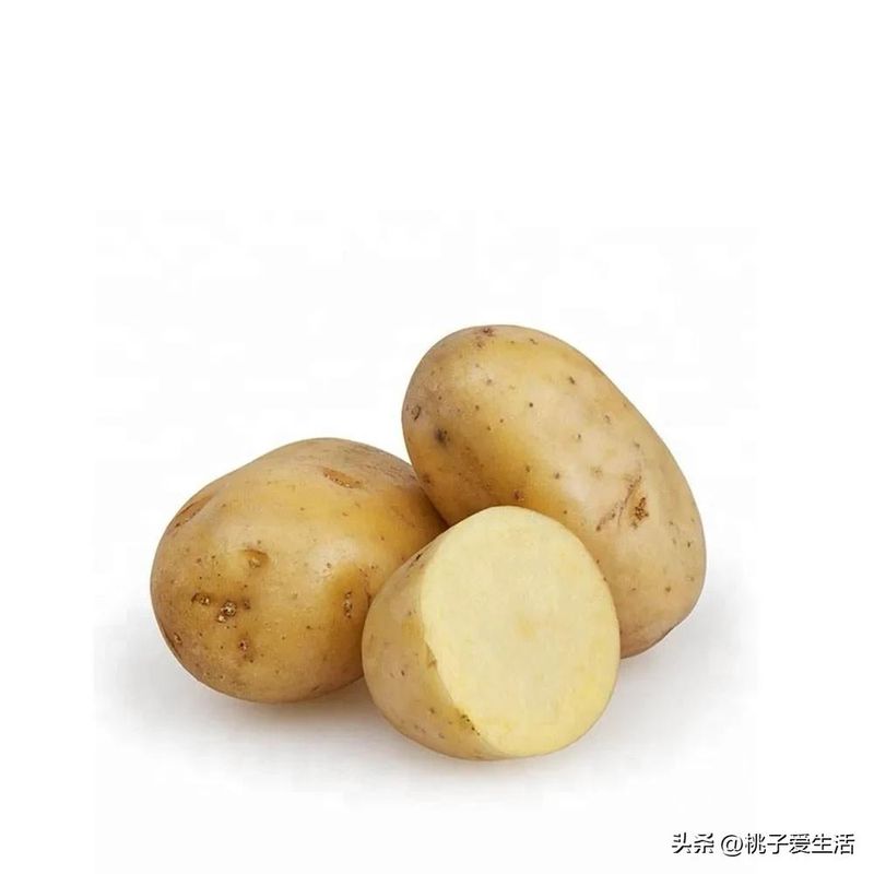 山东秋土豆种植技术