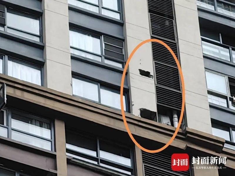 外墙砖脱落维修方案