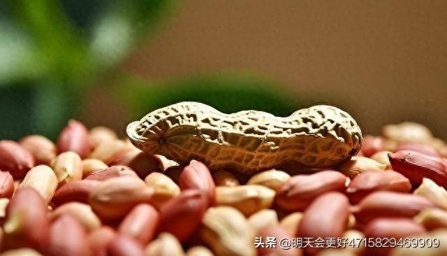 Henan's peanuts are cheap
