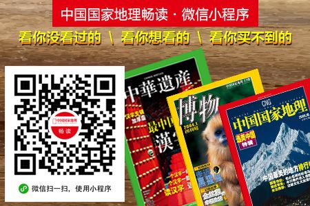 榕树种植方法