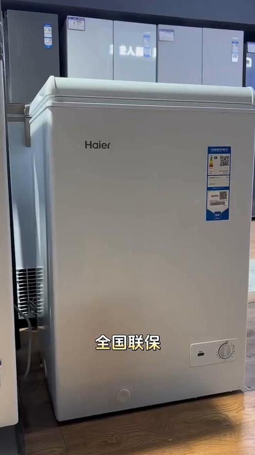 新飞冰柜110升价格