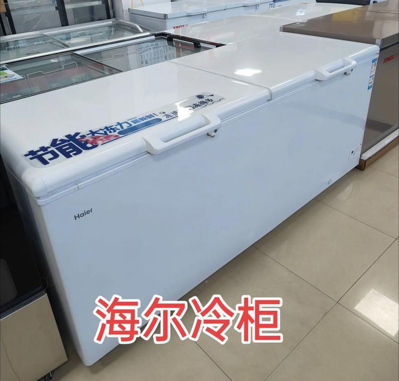 新飞冰柜110升价格