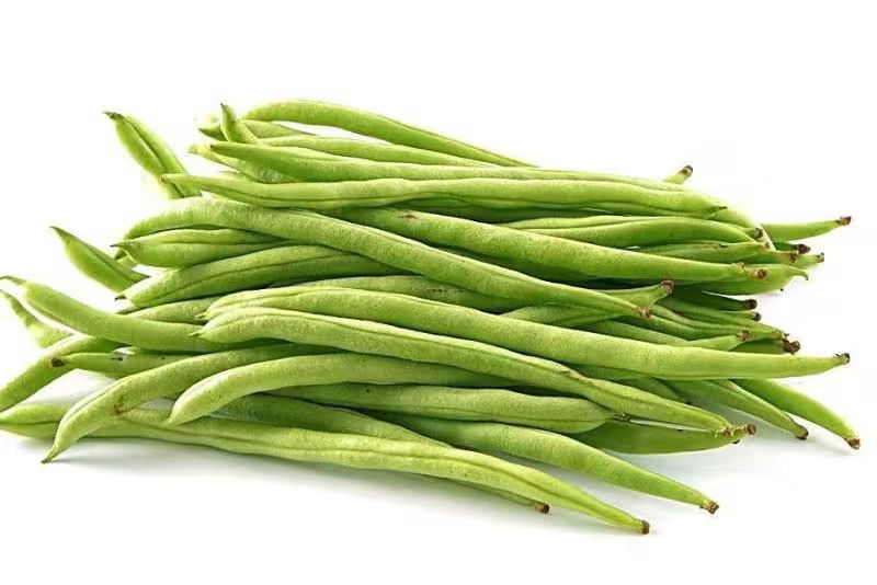 四季豆种植方法