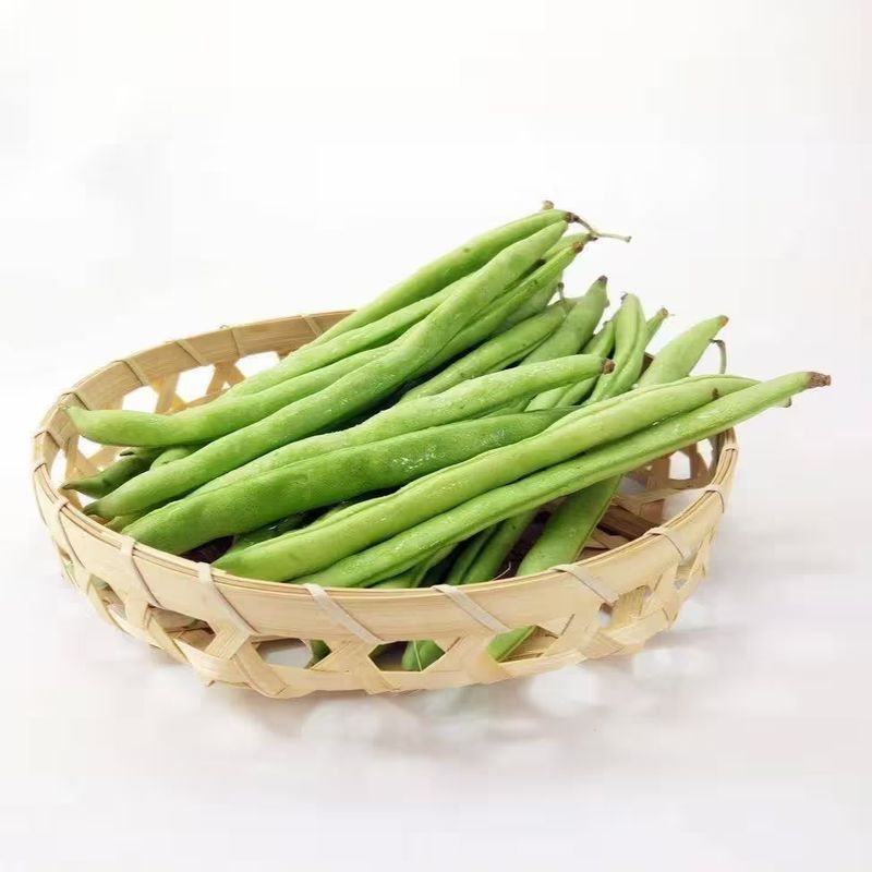 四季豆种植方法