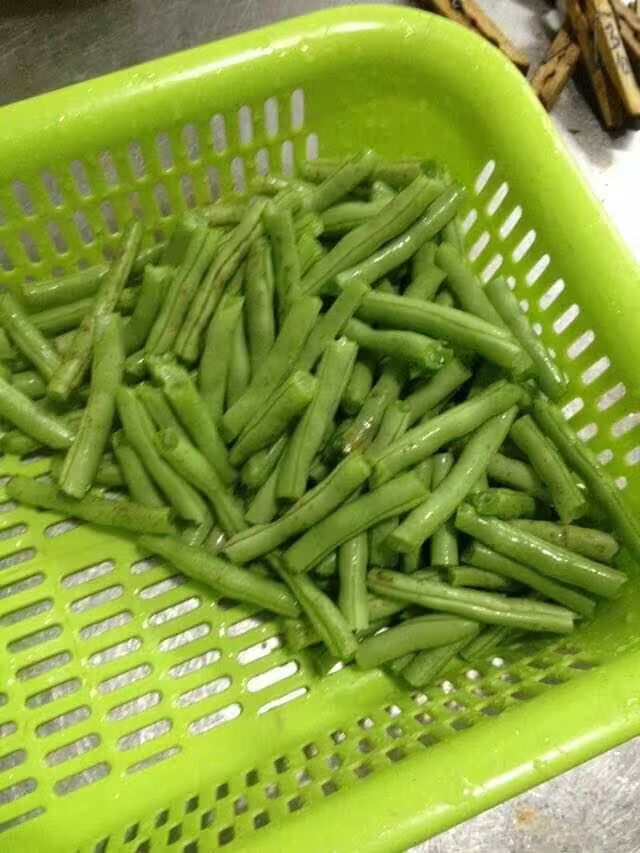 四季豆种植方法