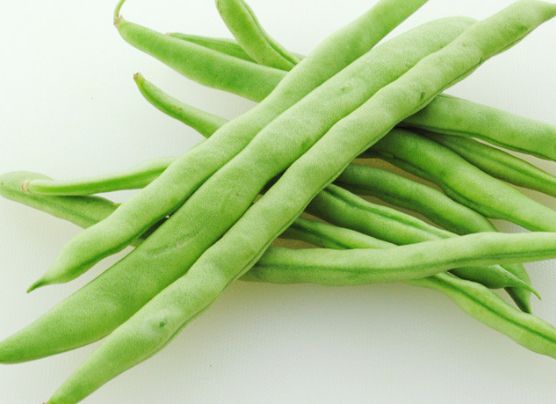 四季豆种植方法