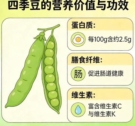 四季豆种植方法