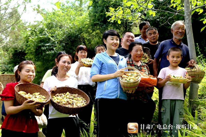 马兰花的种植方法