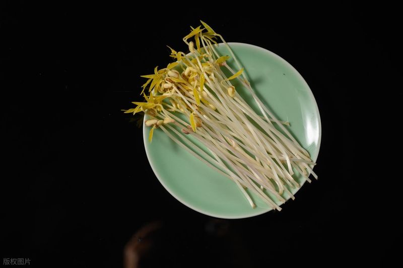 豆芽机真能赚多少钱