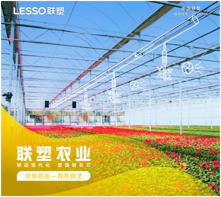 pvc管种植蔬菜图片