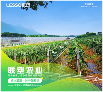 pvc管种植蔬菜图片