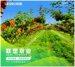 pvc管种植蔬菜图片