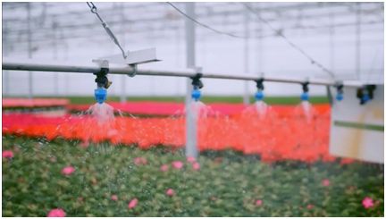 pvc管种植蔬菜图片