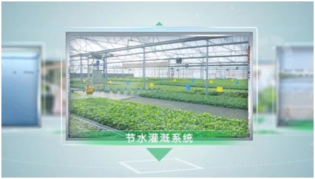 pvc管种植蔬菜图片