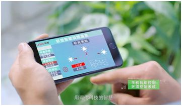 pvc管种植蔬菜图片