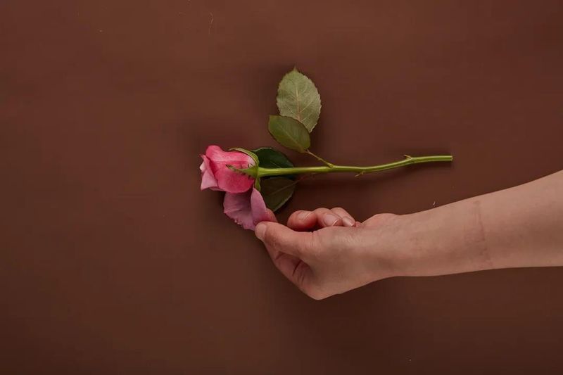 永生花制作原理
