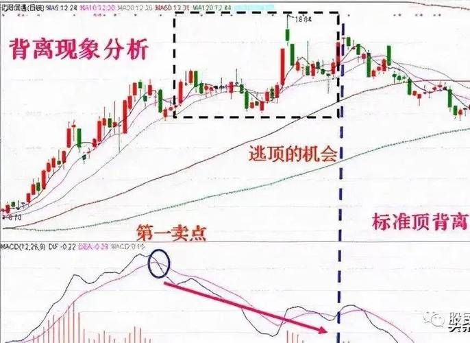 macd各周期的转变规律