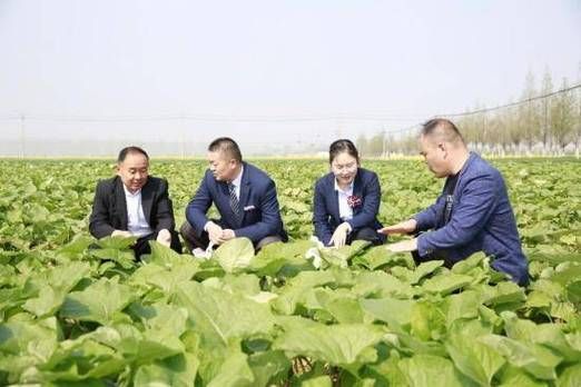 扶贫站业务知识竞赛及答案