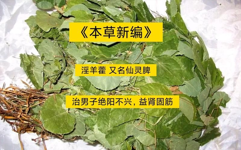 白芨种子种植技术