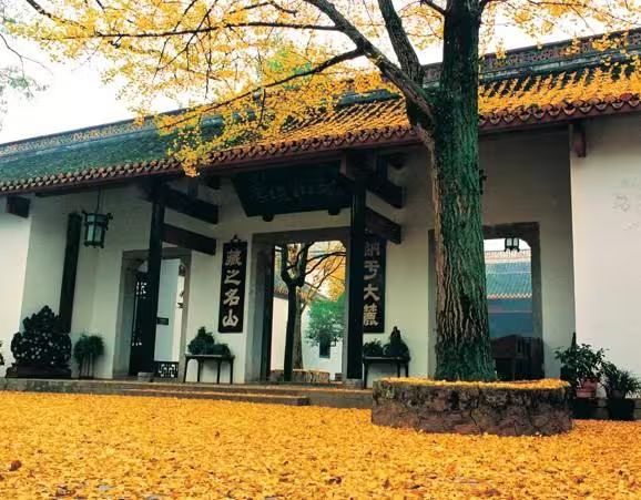 湖南网站seo