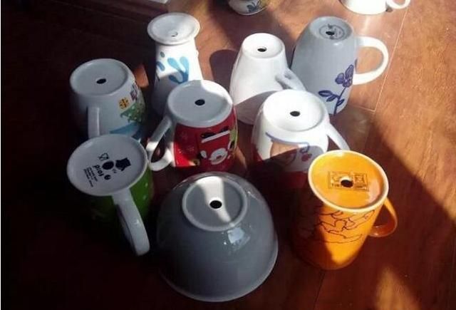 睡莲的种植方法盆栽