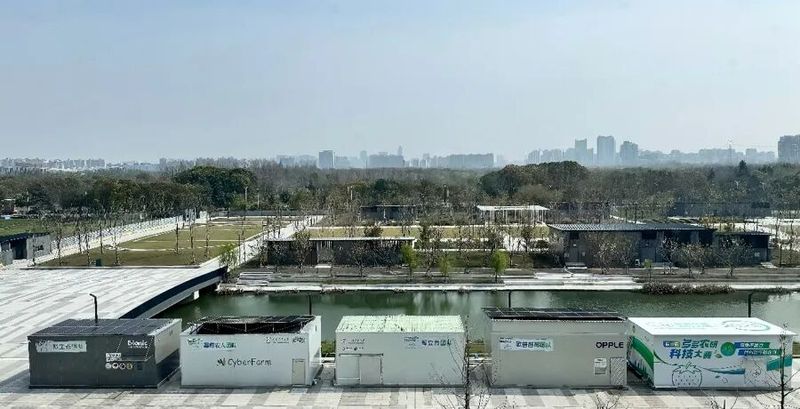 草莓种植方法图解