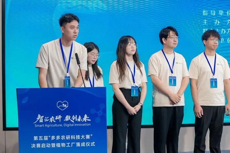 草莓种植方法图解