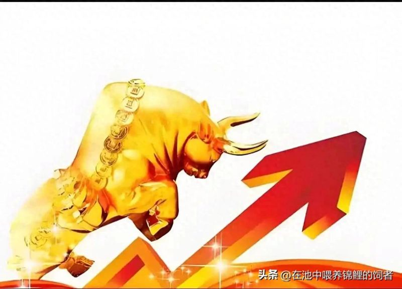 大盘行情是什么意思