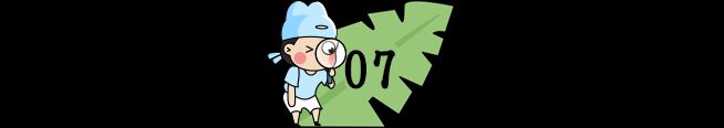小学生百科知识问答(中)
