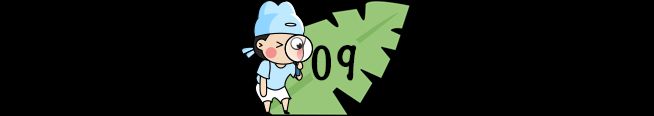 小学生百科知识问答(中)