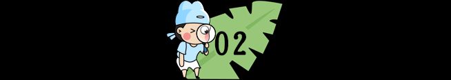小学生百科知识问答(中)