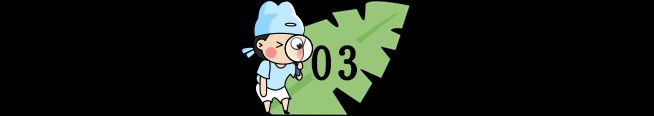 小学生百科知识问答(中)