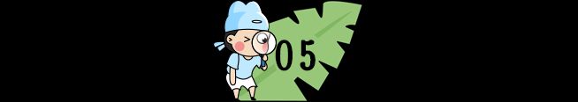 小学生百科知识问答(中)