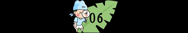 小学生百科知识问答(中)