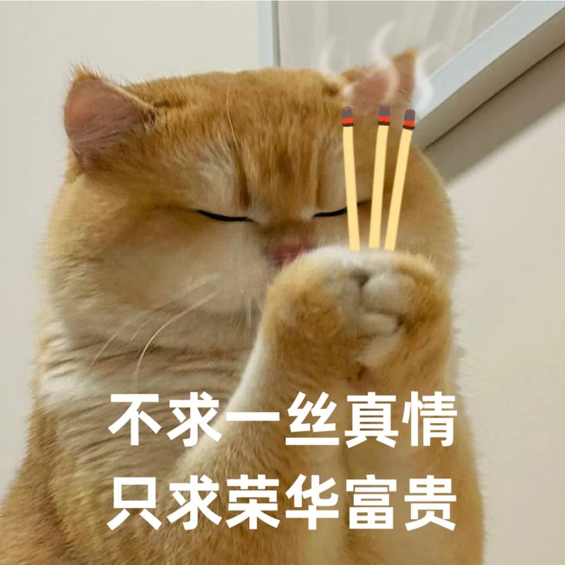 洗头水理论