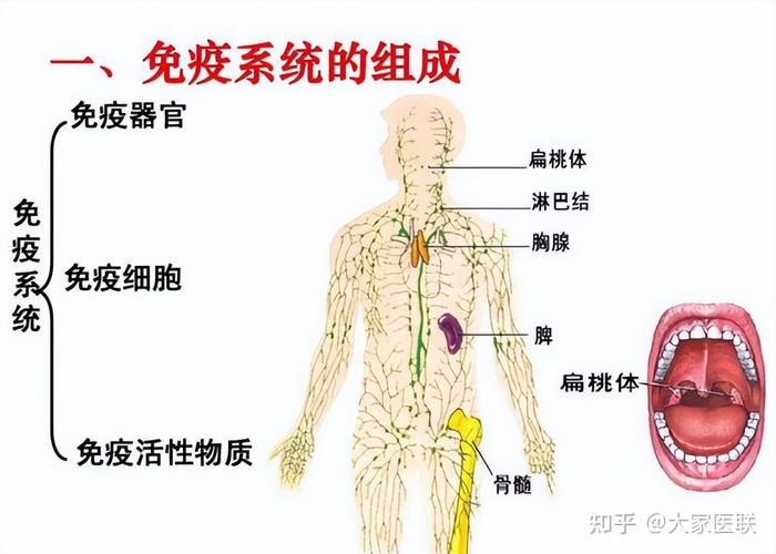 上呼吸道阻塞特点